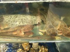 -雅逸居海鲜小厨