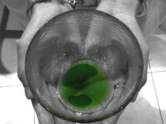 -柴务处·柴犬主题狗咖