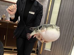 -鲐赏河豚(长寿店)