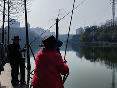-重庆彩云湖湿地公园