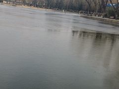 -团结湖公园