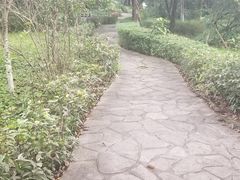 -重庆平顶山公园