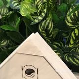 牛排诱惑不停歇
