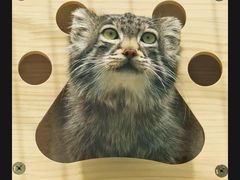 -青藏高原野生动物园