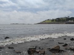 -小麦岛公园