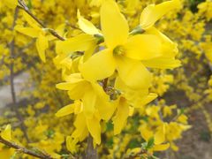 -济南国际园博园