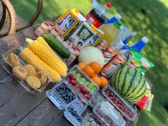 -尚庄度假村·庭台树下·户外烧烤·团建CS·轰趴营地(上庄水库店)