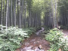 -天目湖山水园