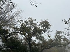 -香山公园