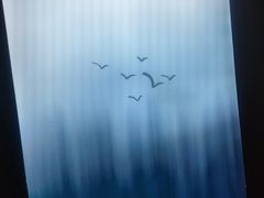 -鹤祥宫·影院足道·SPA连锁(沙井店)