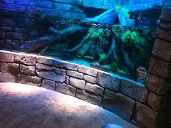 -沈阳海洋探索中心