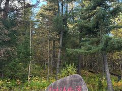 -五营红松林海景区