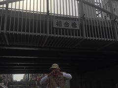 -道顿堀水上观光船(太左衛門橋船着場)