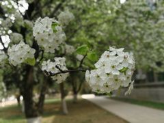 -山东师范大学(千佛山校区)