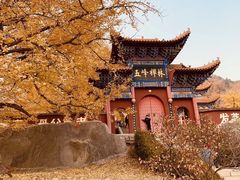 -遵化市禅林寺古银杏风景园