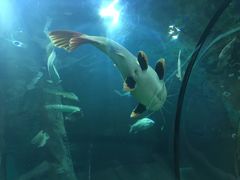 -福州罗源湾海洋世界旅游区