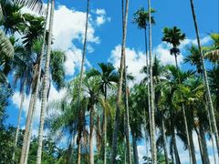 -中国科学院西双版纳热带植物园