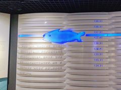 -白鹤梁水下博物馆