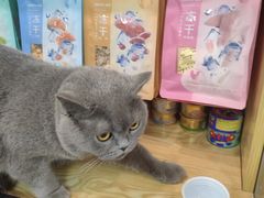 -中农大我爱我爱动物医院·核磁CT·猫病·24小时夜诊中心(石佛营店)