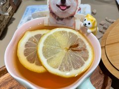 -逗柴咖啡屋·狗咖猫咖宠物桌游