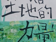 -黄桷坪涂鸦艺术街