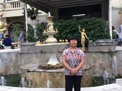 -金东尼人妖秀