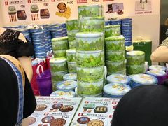 -珍妮曲奇聪明小熊(尖沙咀店)
