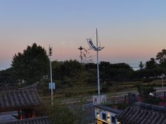 -慢丽江·云南野生菌土鸡锅(付家庄店)