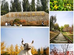 -永定河休闲森林公园