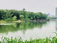 -高子水居