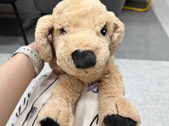 -宜家家居(高新商场店)