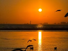 -老虎石海上公园