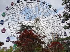 -塔子山公园