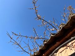 -巍山古城