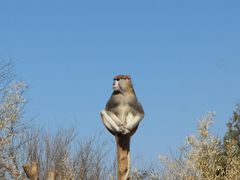 -济南野生动物世界