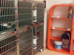 -创凡宠物医院·骨专科  猫科中心(西乡分院)