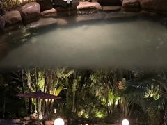 -厦门日月谷温泉渡假村
