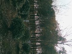 -南湖湿地公园