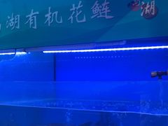 -永安水煮活鱼·仪征土菜院子