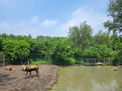 -溱湖国家湿地公园