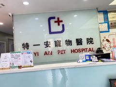 -特一安24小时宠物医院·骨科·中兽医