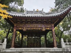 -汇龙潭