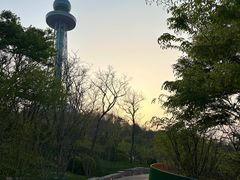 -青岛电视塔