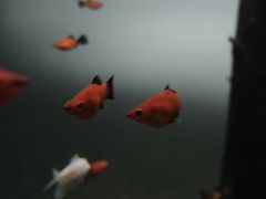 -常州海昌海洋探索馆