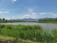 -野鸭湖国家湿地公园