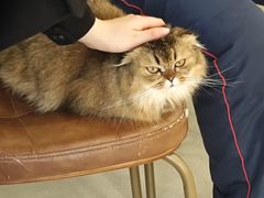 -共舞时光猫咖·狗咖(新街口店)