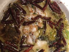 -首秀·四川料理(星耀101店)