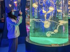 -左海海底世界
