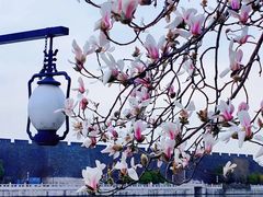 -相门城墙文化休闲景区