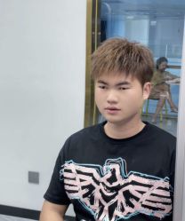 -YESIDO椰岛造型